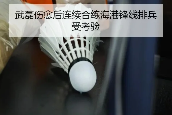 武磊伤愈后连续合练海港锋线排兵受考验（kaiyun）